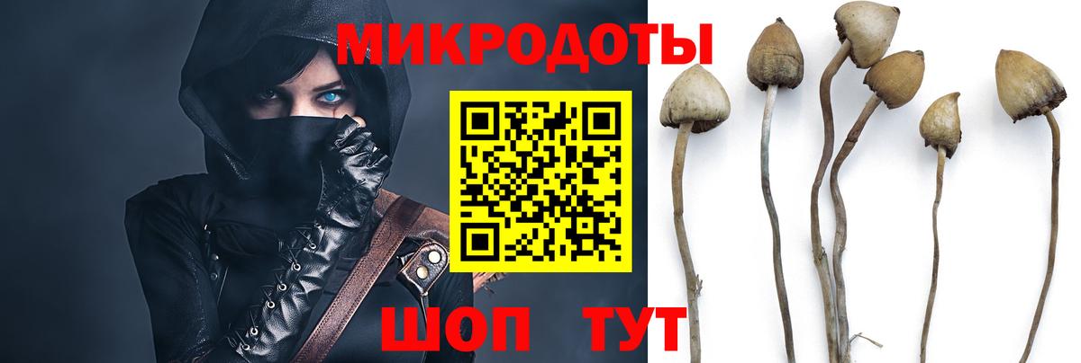 Галлюциногенные грибы GOLDEN TEACHER Алатырь