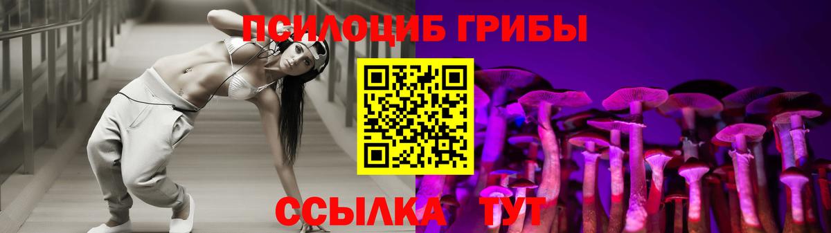 что такое   Вход с VPN  Алатырь  Галлюциногенные грибы Psilocybine cubensis 